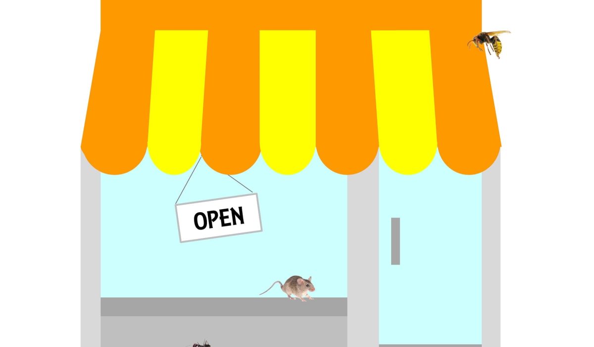 illustration vitrine help nuisibles
